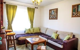 Apartment Dejan