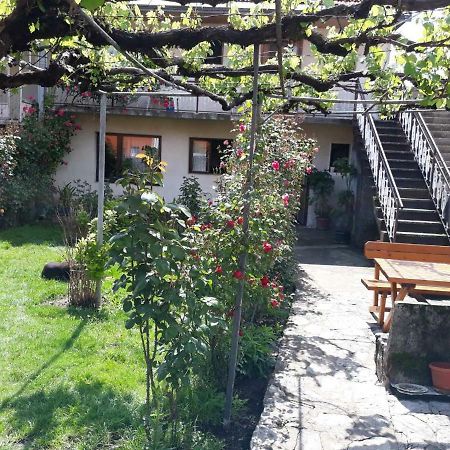 Apartment Dejan Цетинє Екстер'єр фото