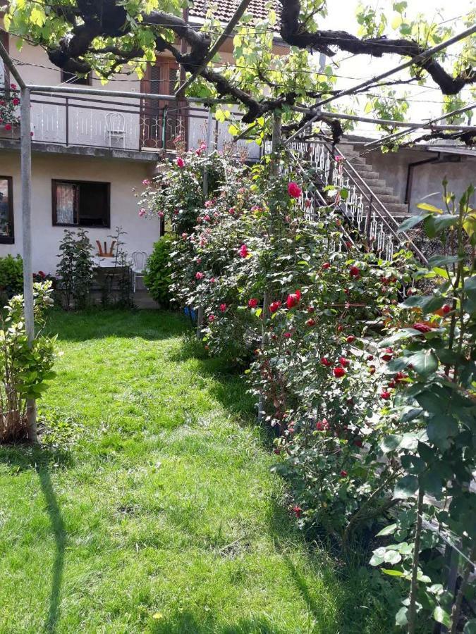 Apartment Dejan Цетинє Екстер'єр фото